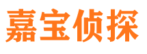 长春市调查公司